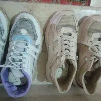 کتونی|کیف، کفش، کمربند|رشت, توشیبا|دیوار