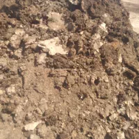 کود مرغ گوشتی و گاومرغی