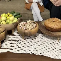 ظروف پذیرایی بامبو