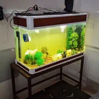 اکواریوم با ابعاد ۰.۸×۰.۶×۱