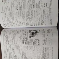 کتاب گرامر|کتاب و مجله تاریخی|اسلام‌شهر, باغ فیض|دیوار