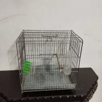 قفس سهره سالم درحدنو