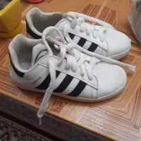 کفش نو|کفش و لباس بچه|مرودشت, ثبت احوال|دیوار