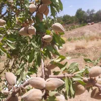 باغ شهری ۴۰۰۰ متر دو کله