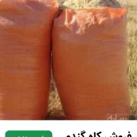 ۱۰کیسه کاه خوب درجه یک