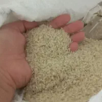 برنج خوشبو ۱۶۰ تومان فقط ۳۰کیلو مونده