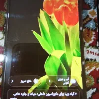 گوشی شیامی در حد نو اصلا تعمیر نشده