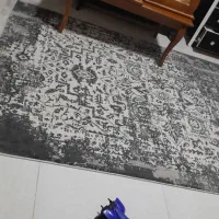 فرش ۷ عدد|فرش|بندر گز, |دیوار