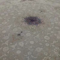 یک عدد فرش ۱۲ متری و کناره|فرش|ایلام, |دیوار