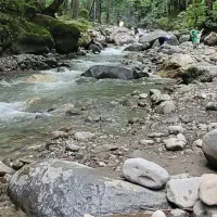 سیم کارت رند رشت دائمی ۲۰ سال خاموش صفر