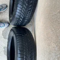 لاستیک یزد  رودری پارس