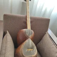 تار شاهین با کاسه مقار تراش