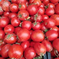 ارسال تره بار به کل تهران|خوردنی و آشامیدنی|تهران, محمودیه|دیوار