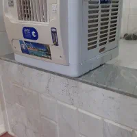کولرابی پردیس خزر،نو