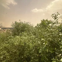بهترین-کوچه-زعفرانیه-ویلا-اپارتمان250متر-مشرف-حیاط
