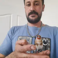 سهره متولد قفس