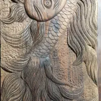 منبت