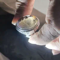 انگشتر شجر|جواهرات|کرمانشاه, |دیوار