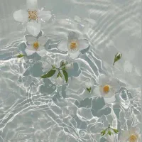 کد هدیه میلی