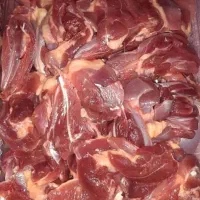 گوشت شتر مرغ کشتار روز