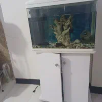 اکواریوم شرکتی شیشه خم|ماهی|چهاردانگه (تهران), |دیوار