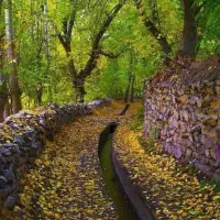 1000متر-زمین-دور-دیوار-شاهنامه34