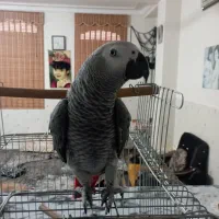 با عرض سلام ب عشق بازان کاسکو
