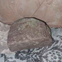 سنگ آکواریوم|ماهی|دماوند, دماوند|دیوار