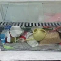 آکواریوم|ماهی|اصفهان, برازنده|دیوار