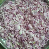 برگ گل محمدی تازه