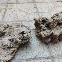 سنگ دریا