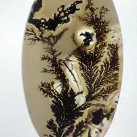 سنگ تزیینی شجر کلکسیونی