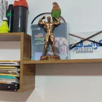 طوطی برزیلی