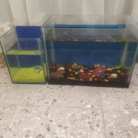 آکواریوم و ماهی