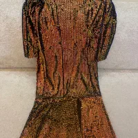 لباس مجلسی