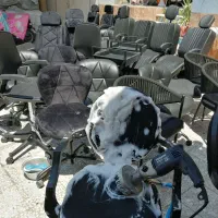 مبل شویی حسام با تخفیف ویژه|خدمات نظافت|بوشهر, |دیوار