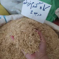 خوراک دام|حیوانات مزرعه|سنگر, |دیوار