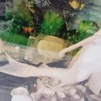 ماهی لجن خوار