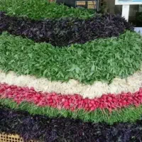 استخدام نیروی بساط زن سبزی ومیوه