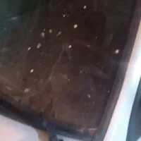پراید  مدل  ۸۱