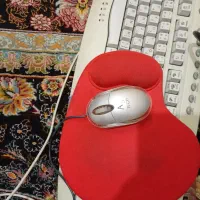 موس و کیبرد