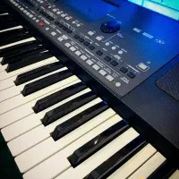 ست ارگ pa600و900