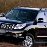 پرادو دودرب تک برگ