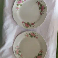 ظروف گلسرخی