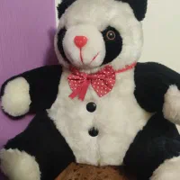 خرس پاندا پولیشی