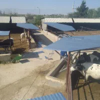 جوشکاری لوله کشی و برق کاری نقاشی(قیمت مناسب)