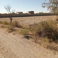 زمین|فروش زمین و ملک کلنگی|گوگان, |دیوار