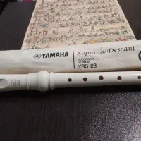 فلوت رکوردریاماهااصلی+کیف ودفترنت