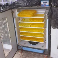 دستگاه فاخته