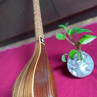 سه تار حرفه ای ساخته استاد صدر|سازهای سنتی|شیراز, قدوسی غربی|دیوار